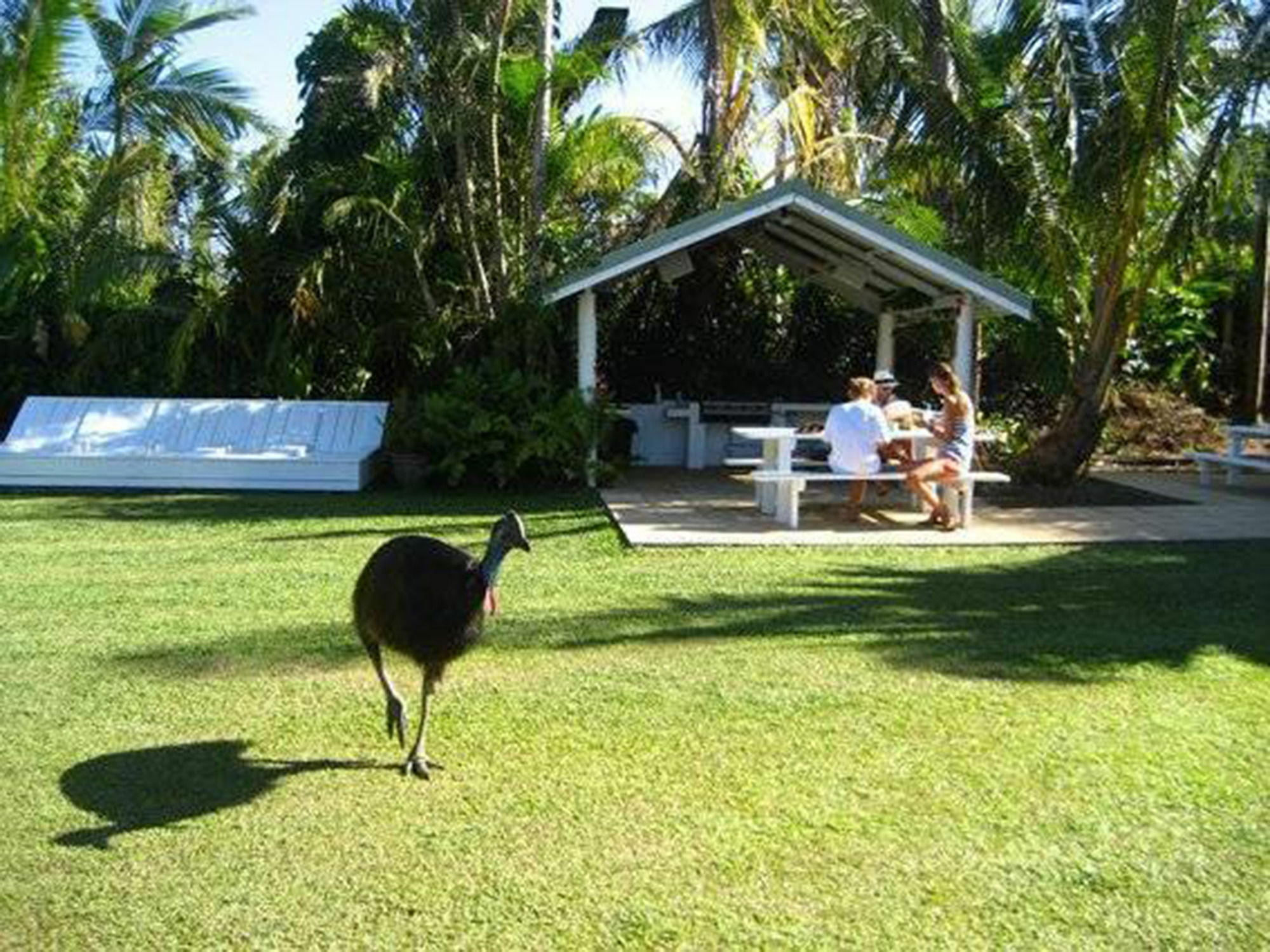 Absolute Backpackers Mission Beach Hostel Exterior photo